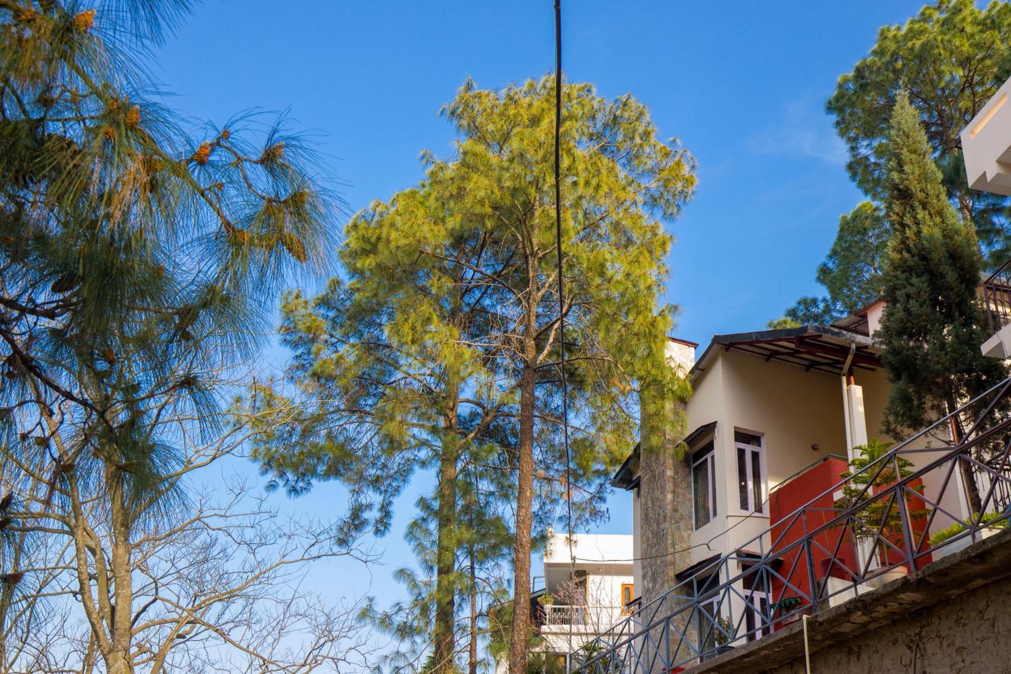 Alaya Stays Mehar Villa - 3 Bhk With Garden & Scenic Views Касаули Экстерьер фото